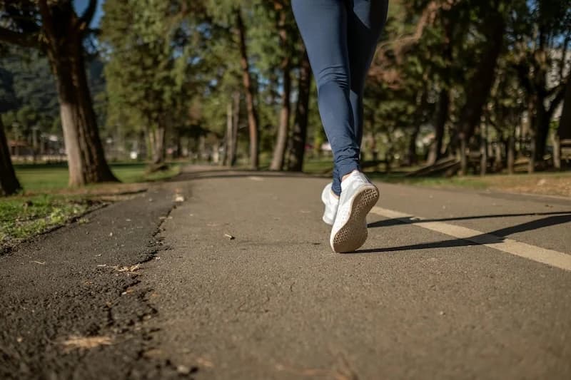How To Lose Weight By Walking One Hour A Day